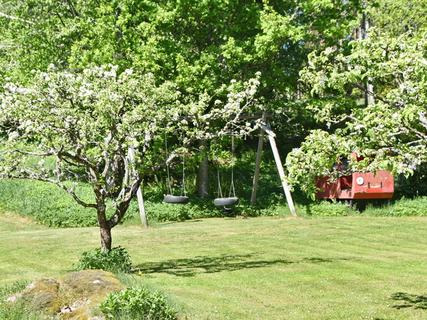 Schaukel im Garten