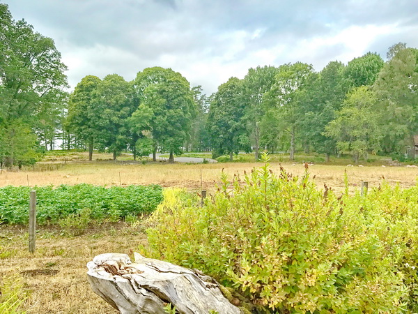 Blick in die Landschaft