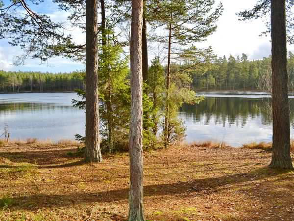 Bade und Angelsee, nur 300 Meter von den Häusern entfernt!