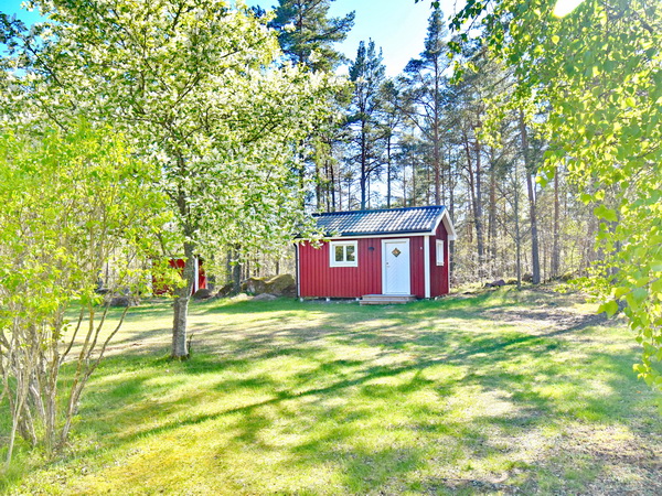 Blick in den Garten mit Gästehaus