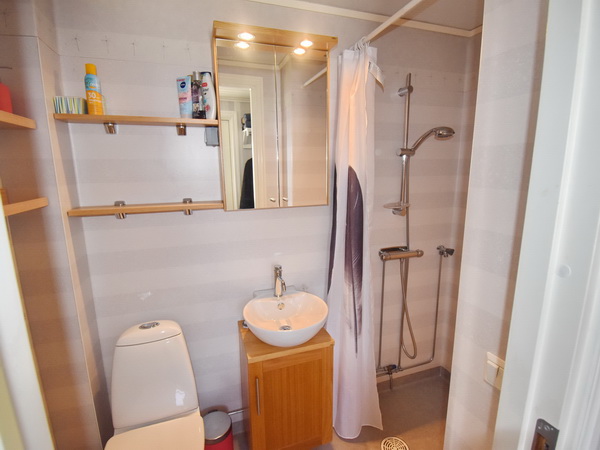 Badezimmer mit WC und Dusche (+ Waschmaschine im Flur)