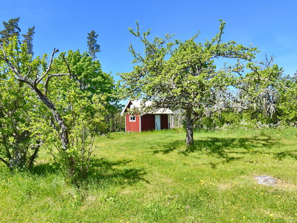 Garten hinter dem Haus
