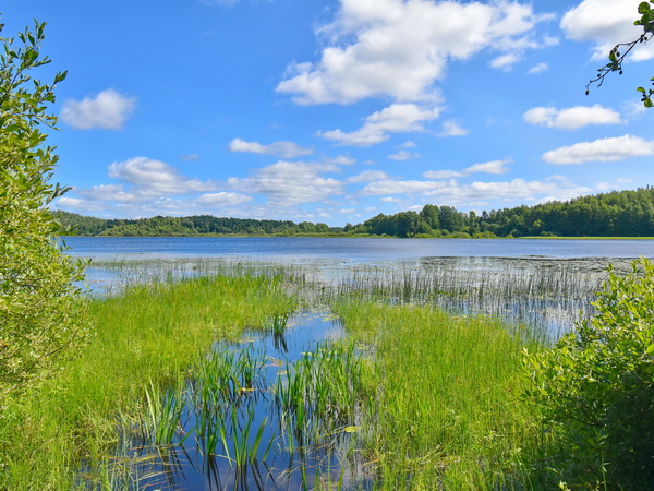 Blick über den See