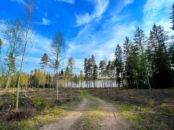 ruhige, abseitige Lage in schöner Natur